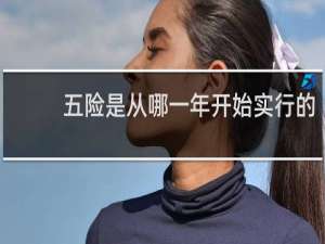 五险是从哪一年开始实行的