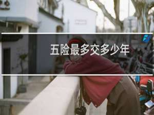 五险最多交多少年