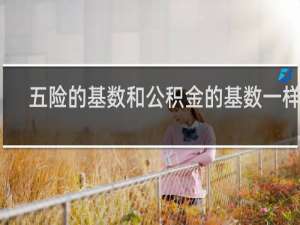 五险的基数和公积金的基数一样吗