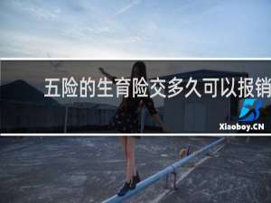 五险的生育险交多久可以报销