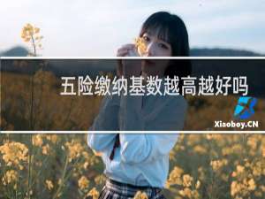 五险缴纳基数越高越好吗