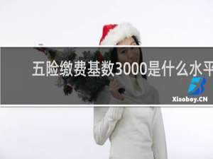 五险缴费基数3000是什么水平