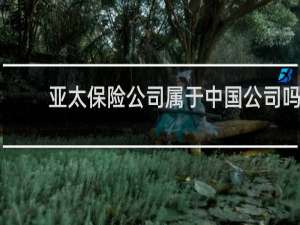亚太保险公司属于中国公司吗