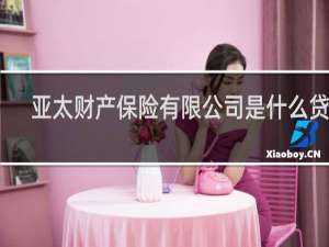 亚太财产保险有限公司是什么贷款