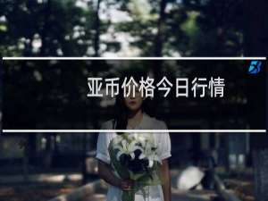 亚币价格今日行情