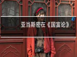 亚当斯密在《国富论》中主张（亚当斯密国富论亚当斯密的主要观点）