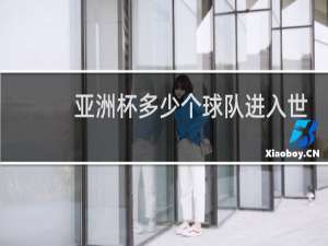 亚洲杯多少个球队进入世界杯