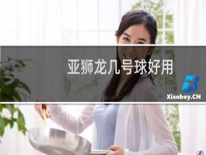 亚狮龙几号球好用