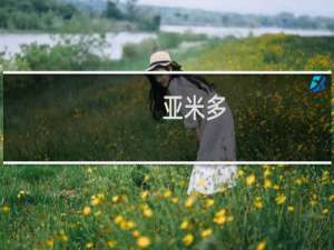 亚米多