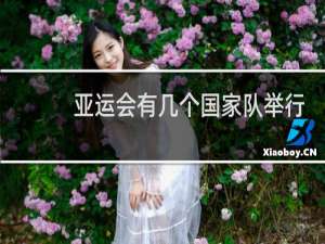 亚运会有几个国家队举行