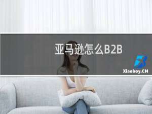 亚马逊怎么B2B