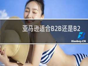 亚马逊适合B2B还是B2