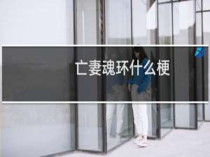 亡妻魂环什么梗