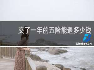 交了一年的五险能退多少钱