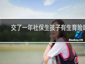 交了一年社保生孩子有生育险吗