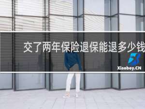 交了两年保险退保能退多少钱