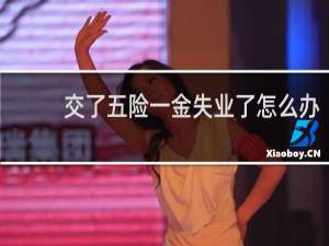 交了五险一金失业了怎么办