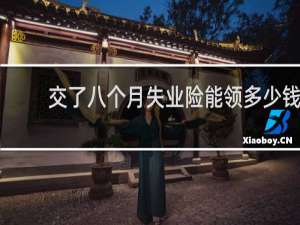 交了八个月失业险能领多少钱