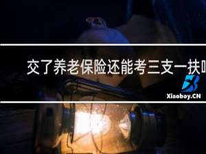 交了养老保险还能考三支一扶吗