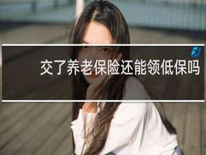 交了养老保险还能领低保吗