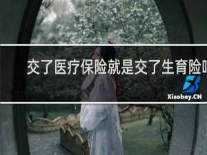 交了医疗保险就是交了生育险吗