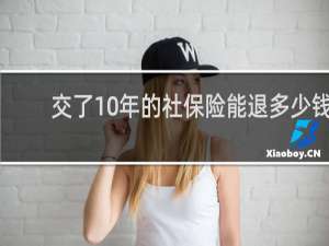 交了10年的社保险能退多少钱