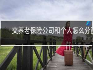 交养老保险公司和个人怎么分配