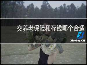 交养老保险和存钱哪个合适