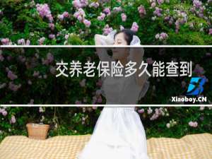 交养老保险多久能查到
