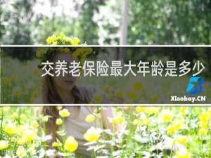 交养老保险最大年龄是多少