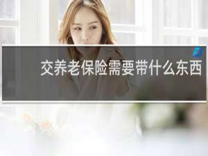 交养老保险需要带什么东西