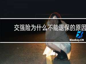 交强险为什么不能退保的原因