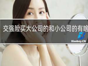 交强险买大公司的和小公司的有啥区别