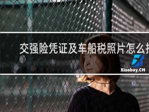 交强险凭证及车船税照片怎么拍