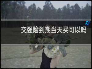 交强险到期当天买可以吗