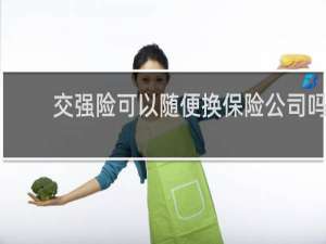 交强险可以随便换保险公司吗