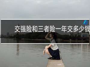 交强险和三者险一年交多少钱