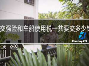 交强险和车船使用税一共要交多少钱一年