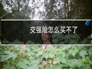 交强险怎么买不了