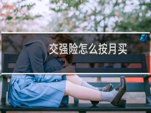 交强险怎么按月买