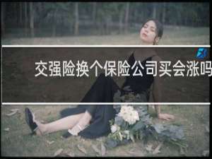 交强险换个保险公司买会涨吗