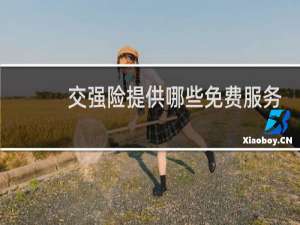 交强险提供哪些免费服务