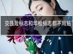 交强险标志和年检标志都不用贴了吗