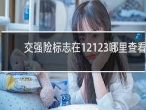 交强险标志在12123哪里查看