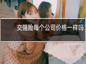 交强险每个公司价格一样吗