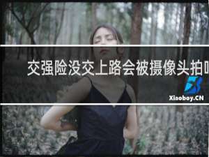 交强险没交上路会被摄像头拍吗