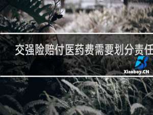 交强险赔付医药费需要划分责任吗