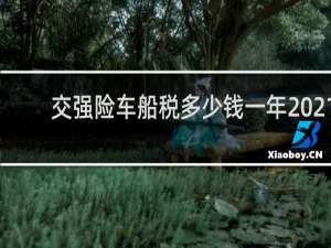 交强险车船税多少钱一年2021