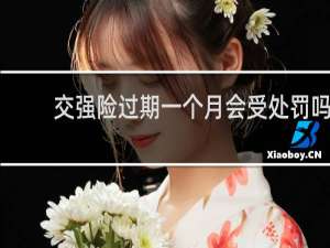 交强险过期一个月会受处罚吗