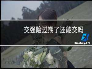交强险过期了还能交吗